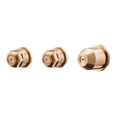 Replacement Electrostatic Nozzle - 2 Low Settings 1 High Setting (3-Pack)